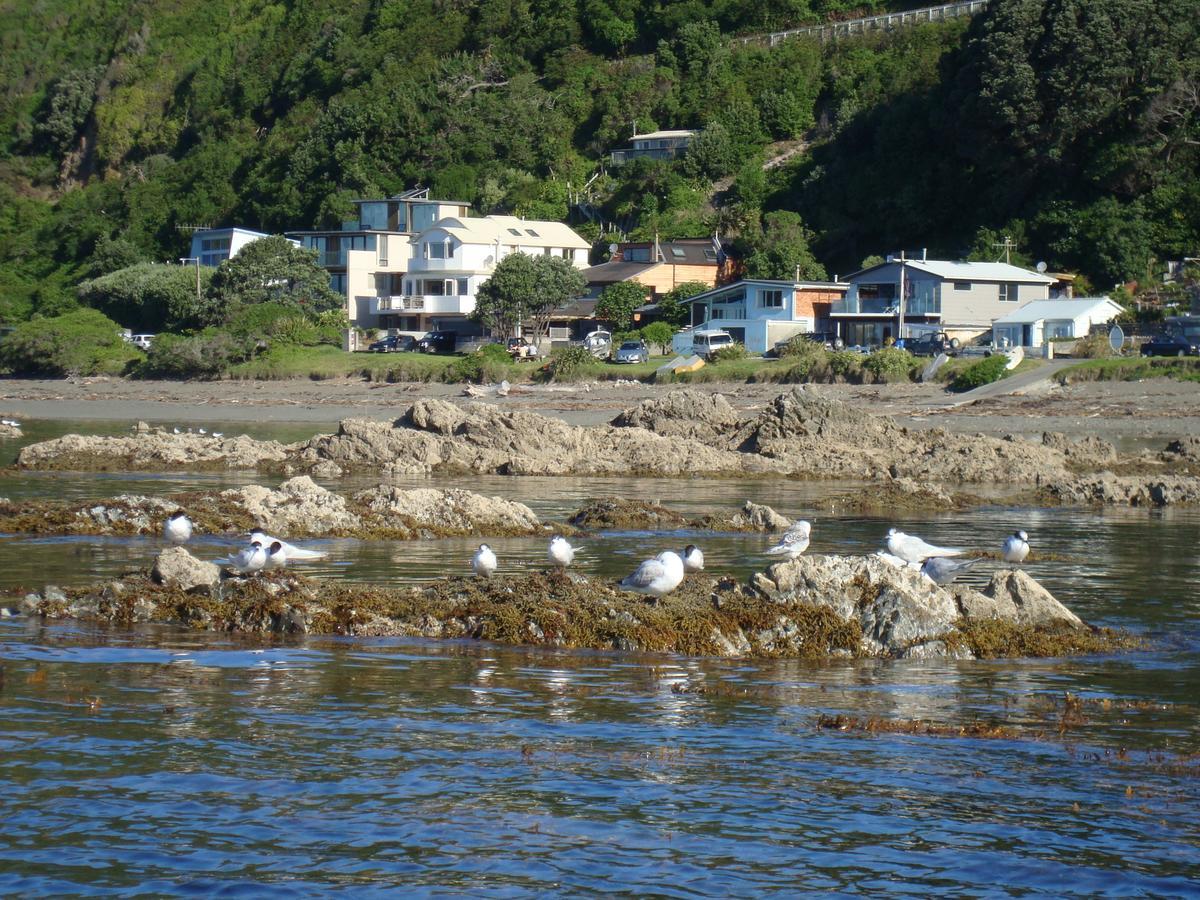 Kapiti Waves Bed & Breakfast Pukerua Bay Esterno foto